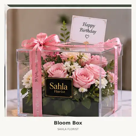 Bloom Box Kab Pegunungan Bintang